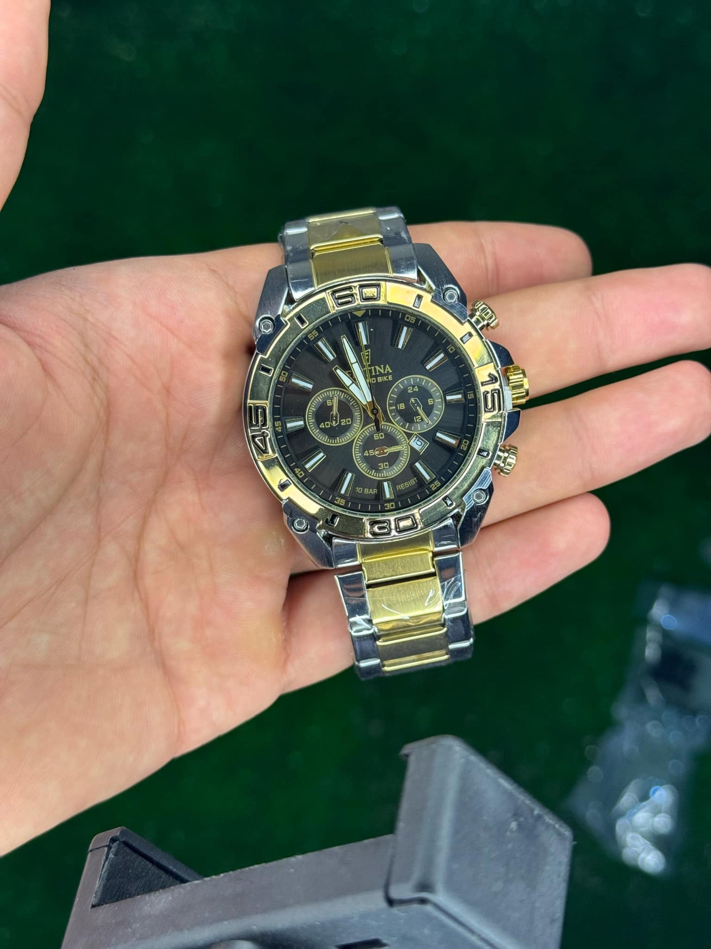 festina 2025